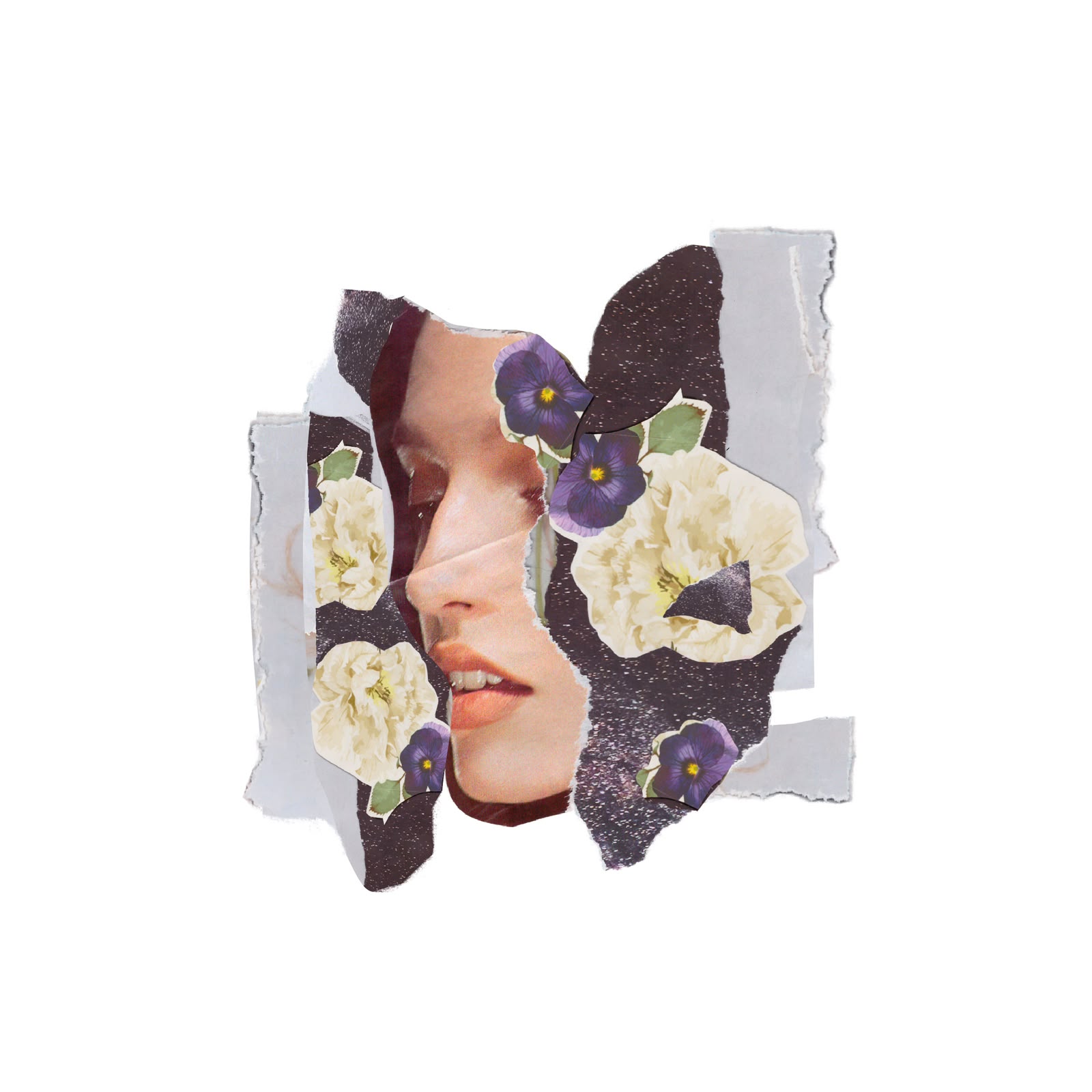 Cut-paper portrait with violet flowers and cream blossoms on white