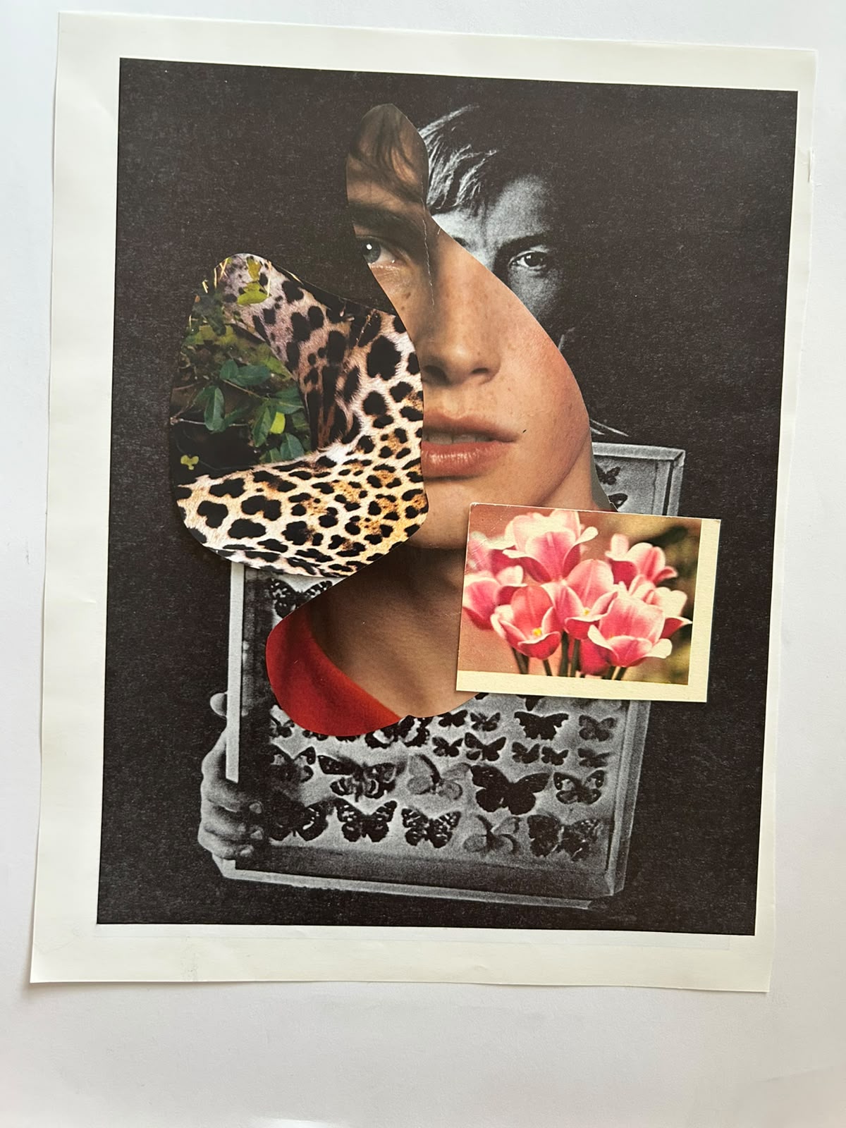 Layered portrait with butterfly imagery and a small photograph of pink flowers