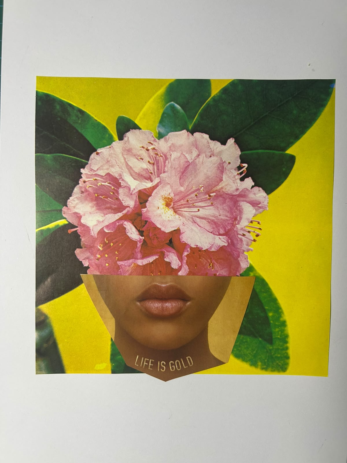 Pink blossoms and a portrait against a vivid yellow and green background